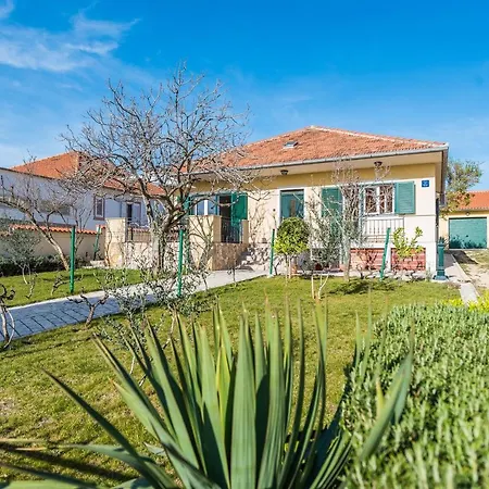 House With A Parking Space - Mulo, Zadar - 16527