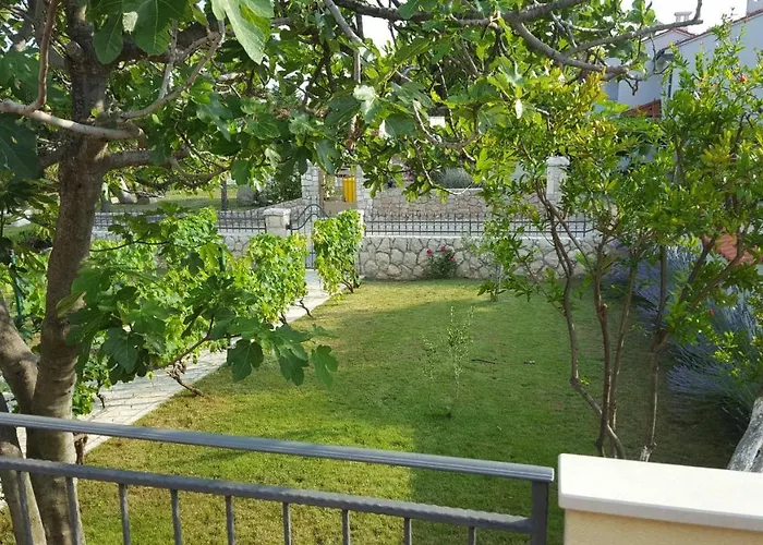 House With A Parking Space - Mulo, Zadar - 16527 Vrsi